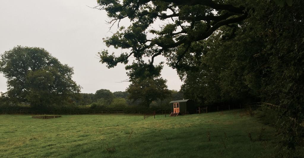 Villa Mollies Hut Frome Exterior foto