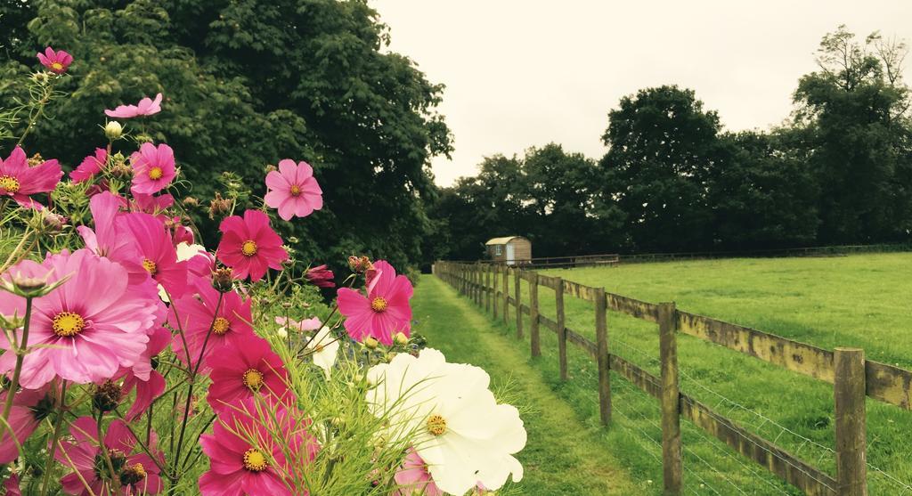 Villa Mollies Hut Frome Exterior foto
