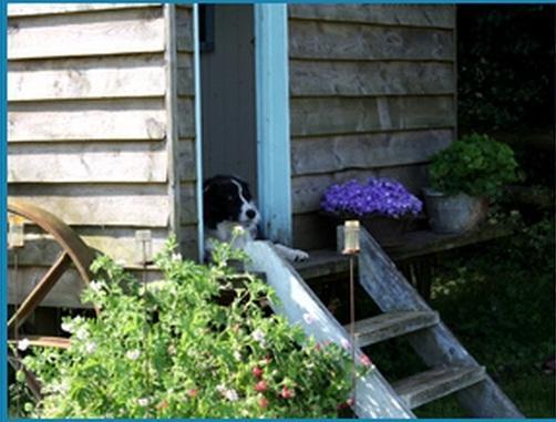 Villa Mollies Hut Frome Zimmer foto